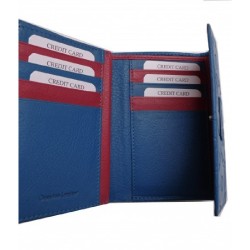 ΔΕΡΜΑΤΙΝΟ ΓΥΝΑΙΚΕΙΟ ΠΟΡΤΟΦΟΛΙ ΣΙΕΛ ΓΑΛΑΖΙΟ 290527